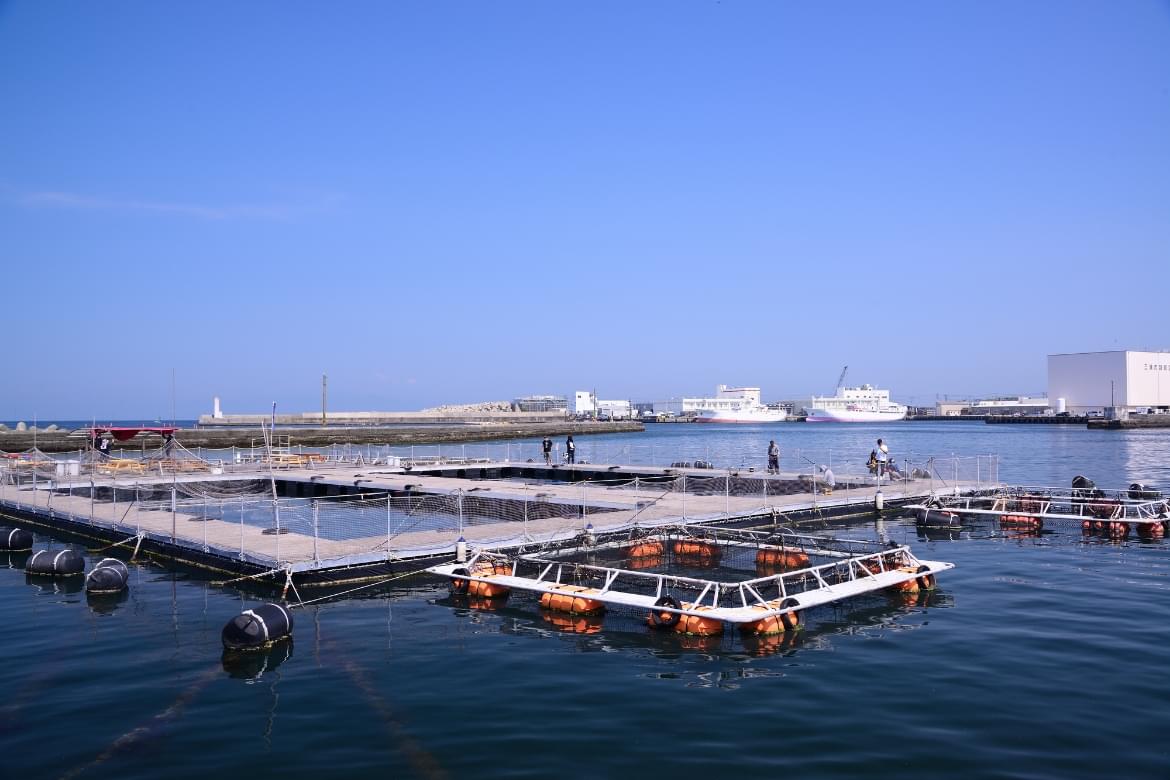 海上イケス釣堀