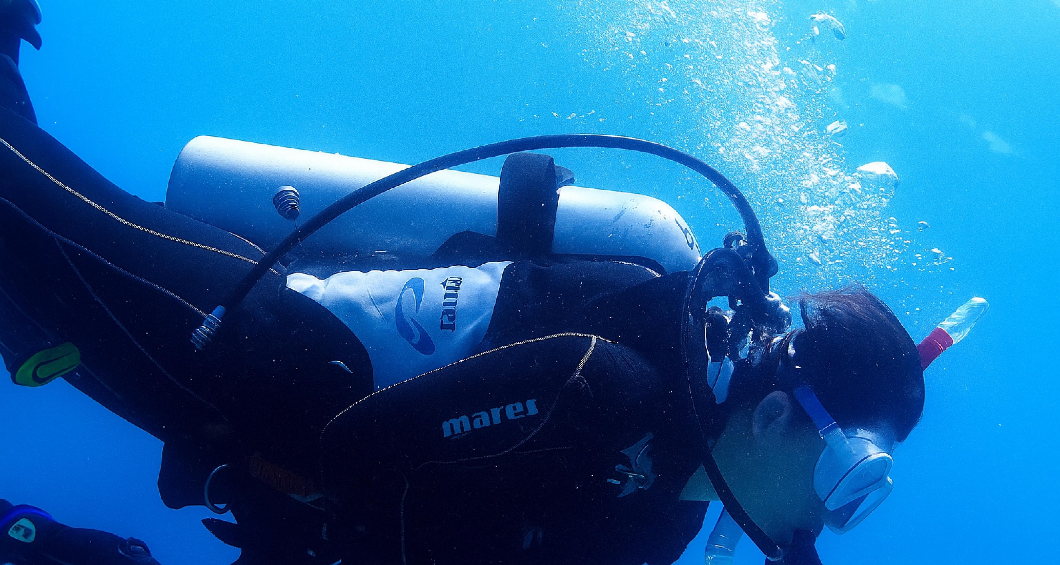 城ヶ島　体験ダイビング