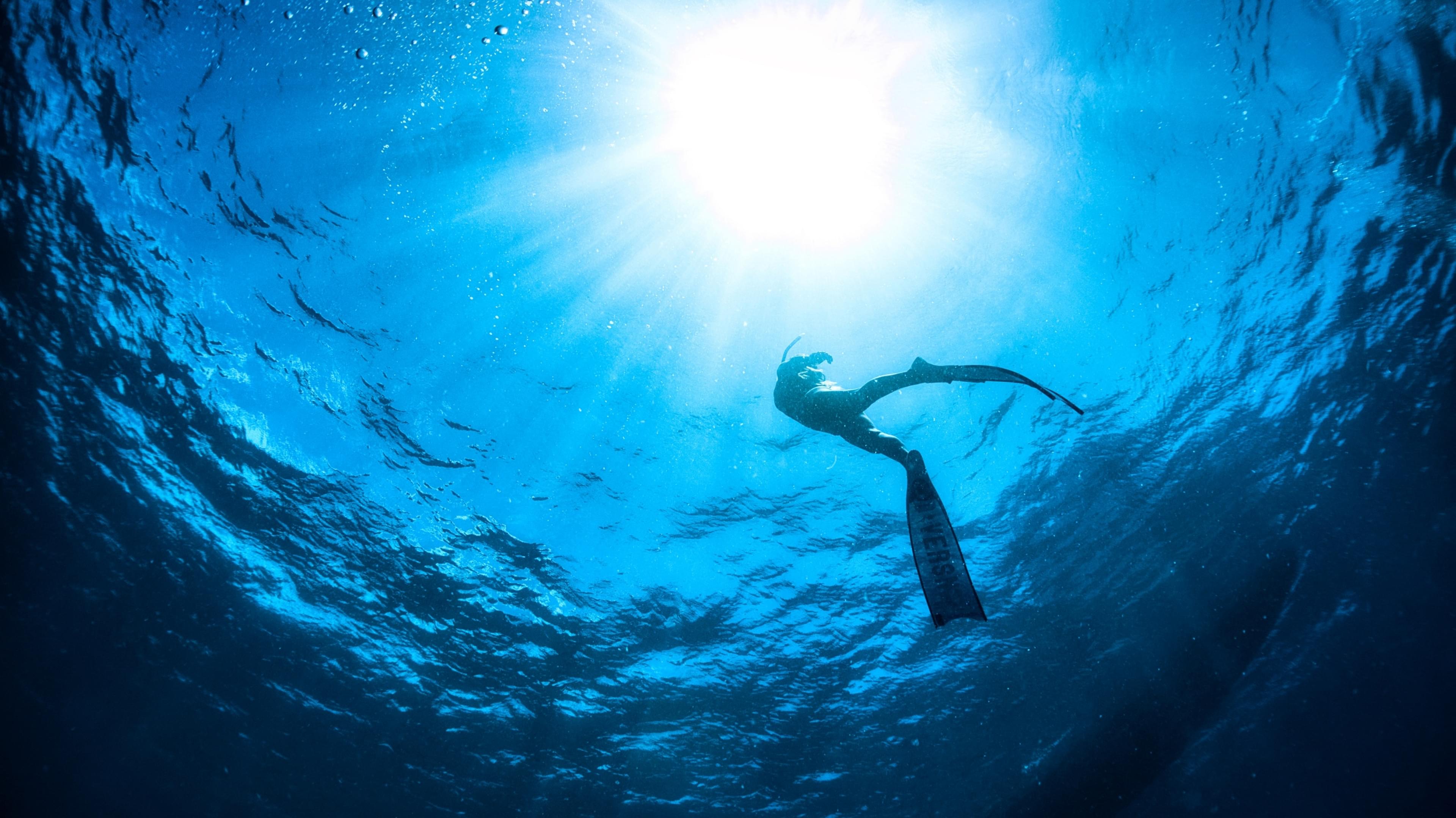 アクティビティ